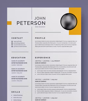 cv resume example design to stand out